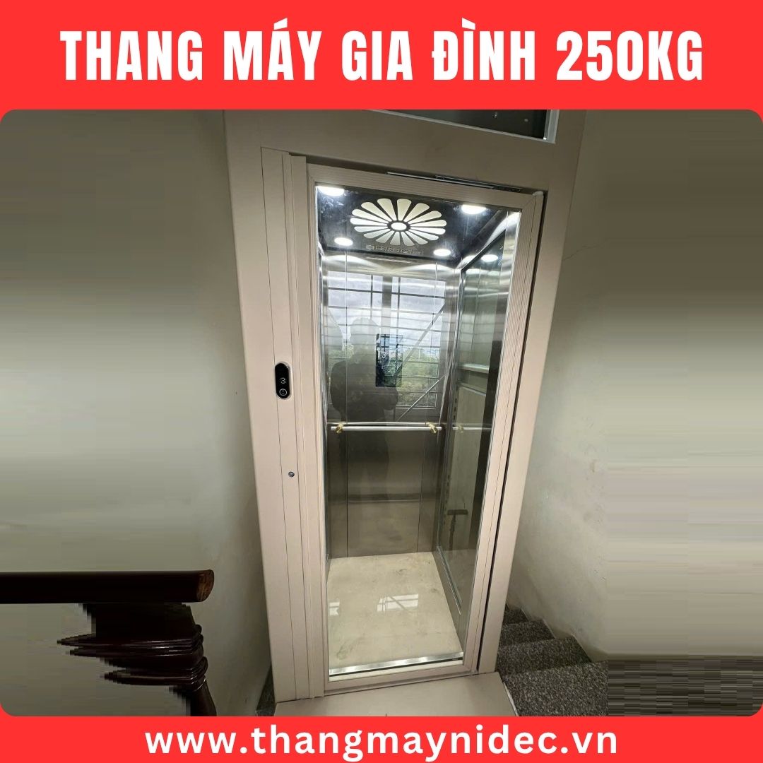 Thang máy 250kg cho nhà cải tạo